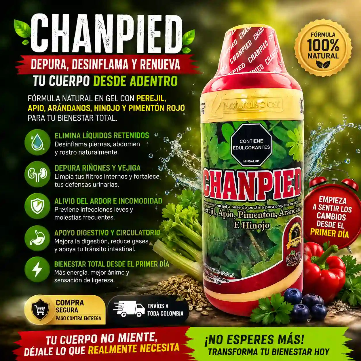 Concentrado De Chanpied: ¡Limpia tus riñones!